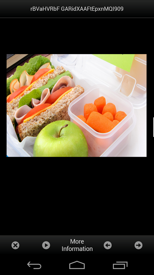 Lunch Box Ideas Easy截图5