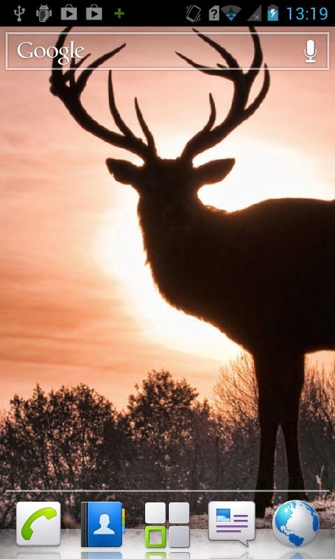 Deer HD Live Wallpaper截图4