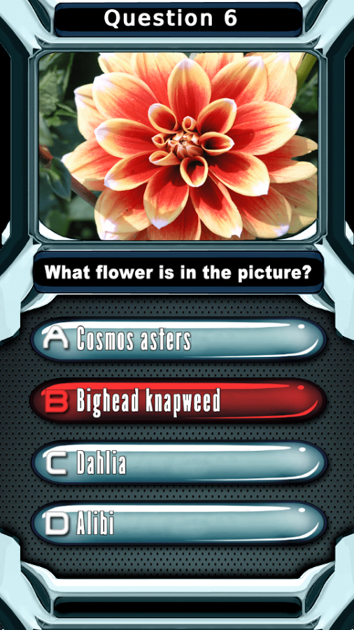 Plants vs Flowers Garden Quiz截图9