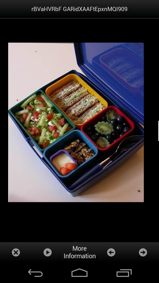 Lunch Box Ideas Easy截图1