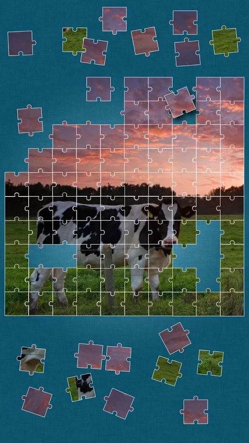 Cows Jigsaw Puzzle截图8