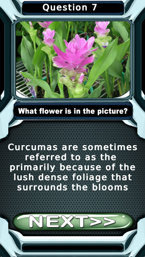 Plants vs Flowers Garden Quiz截图6