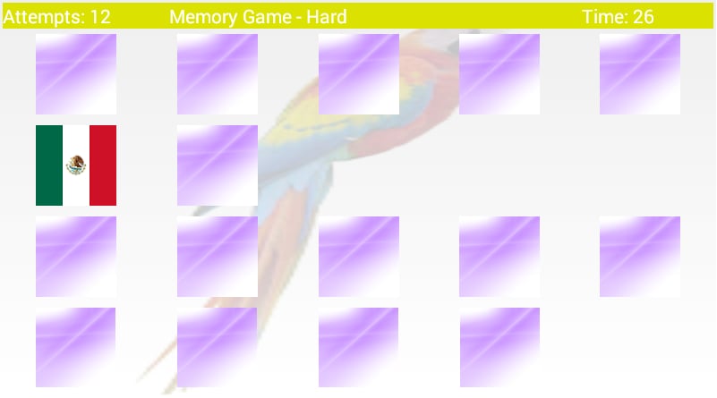 Flags Memory Game截图4