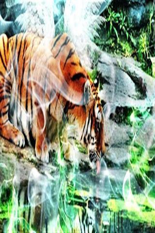 老虎和狮子壁纸截图3
