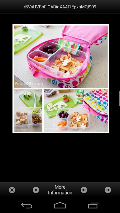 Lunch Box Ideas Easy截图2