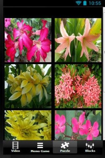 Plants Love Flowers截图2