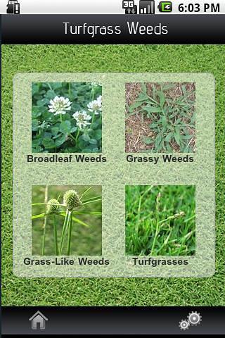 Turfgrass Weeds截图4