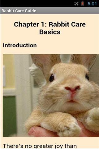 兔子护理指南 Rabbit Care Guide截图2