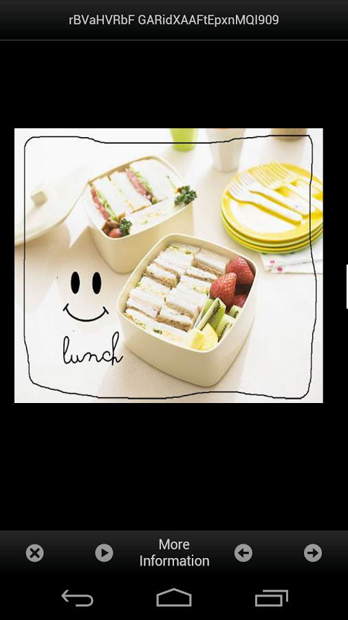 Lunch Box Ideas Easy截图4