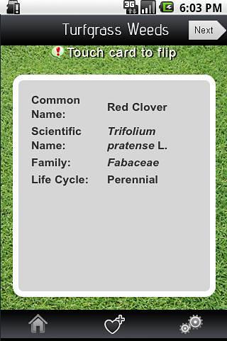 Turfgrass Weeds截图2