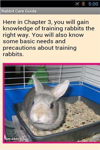 兔子护理指南 Rabbit Care Guide截图3