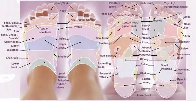 Acupressure Points截图5