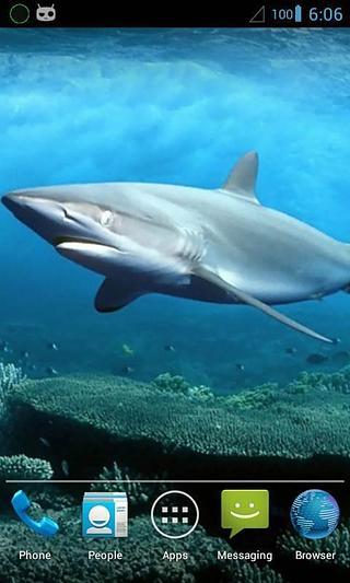 Magic Touch : Shark in W...截图4