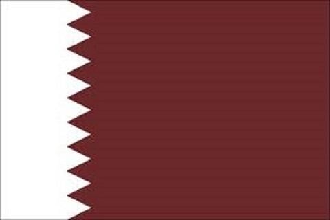 To know about Qatar截图2