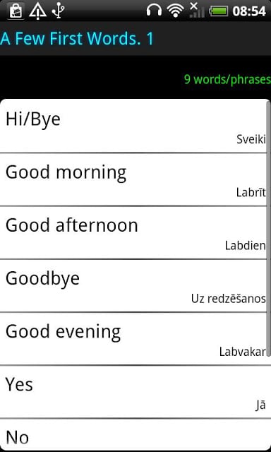 Surface Languages Latvian截图2