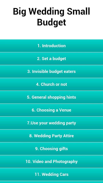 Big Wedding Small Budget截图2