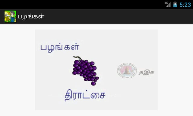 PRIMARY வழக்குச் சொற்கள்截图5