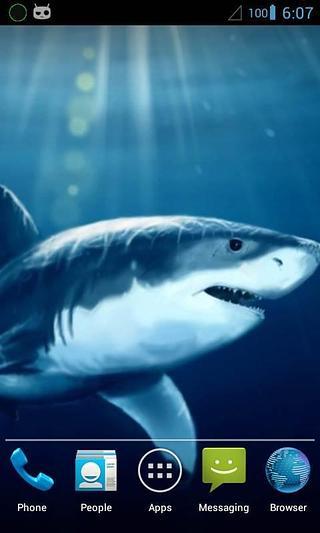 Magic Touch : Shark in W...截图5