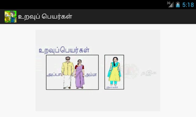 PRIMARY வழக்குச் சொற்கள்截图4