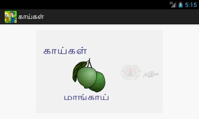 PRIMARY வழக்குச் சொற்கள்截图1