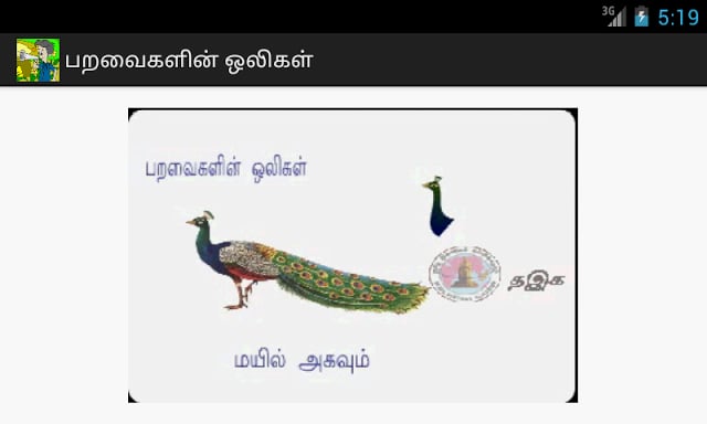 PRIMARY வழக்குச் சொற்கள்截图2