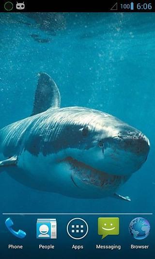 Magic Touch : Shark in W...截图3