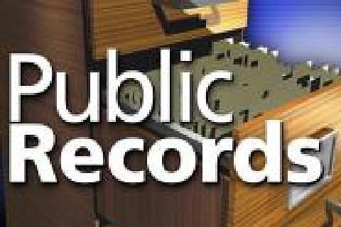 Public Records截图3