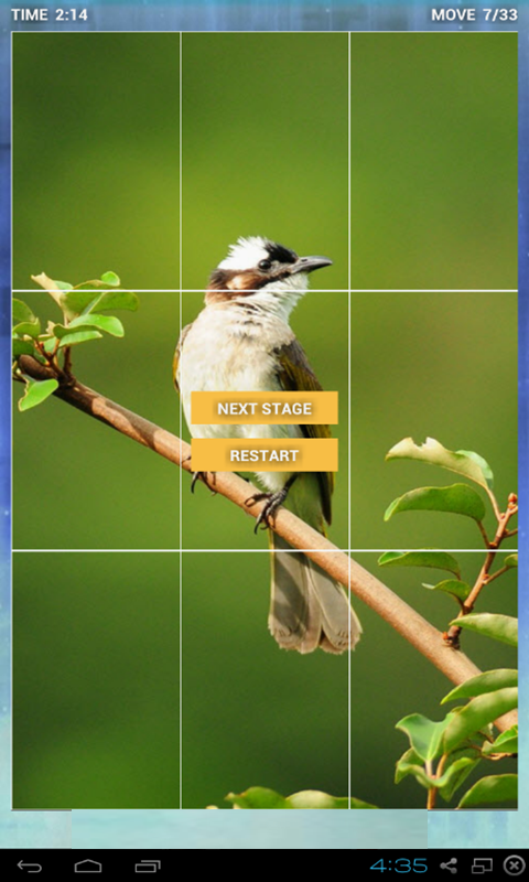 puzzle birds with nature截图4