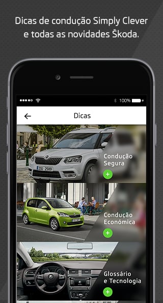 Skoda Link截图3