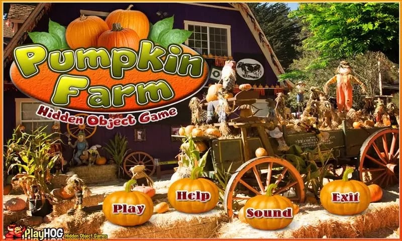 Pumpkin Farm - Hidden Ob...截图4