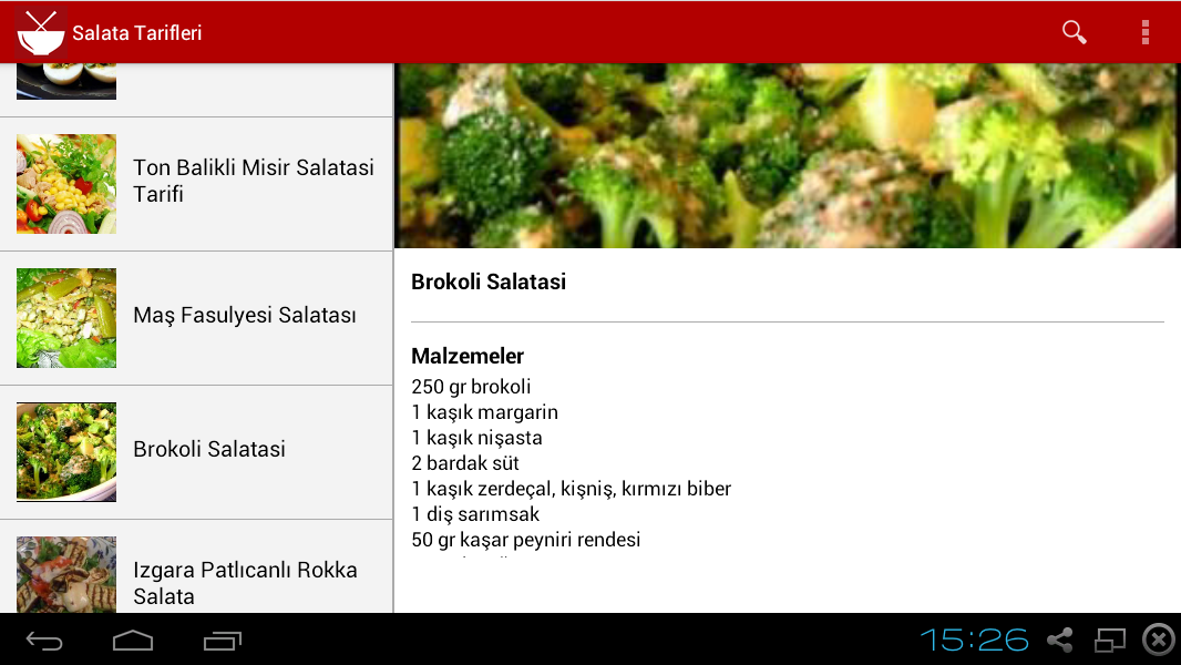 Salata Tarifleri截图6