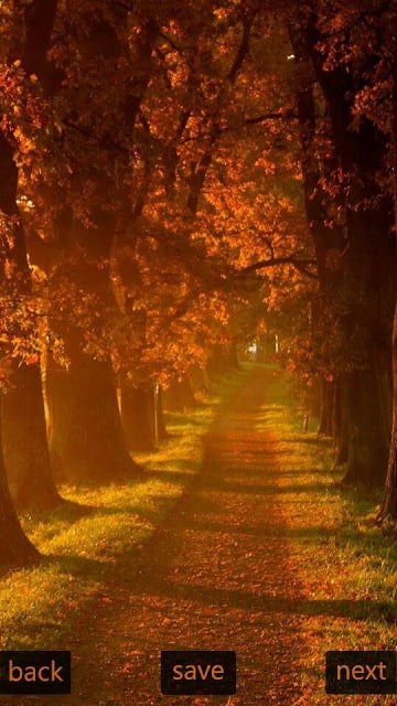 Inspic Autumn Wallpapers HD截图5