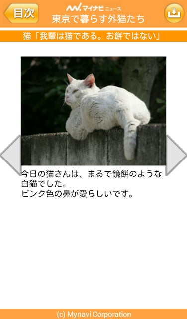 【无料版】东京でのんびり暮らす外猫たち截图2