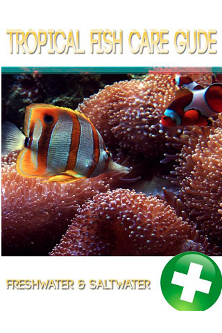 Tropical Fish Care Guide截图1