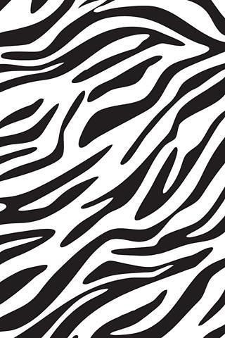 zebra截图1