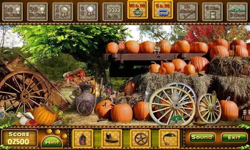 Pumpkin Farm - Hidden Ob...截图8