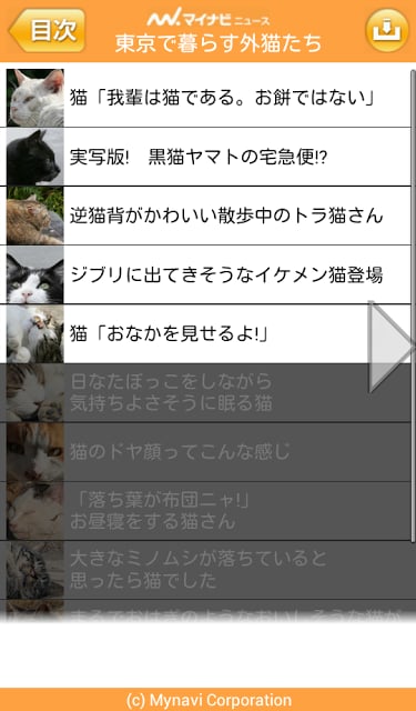 【无料版】东京でのんびり暮らす外猫たち截图3