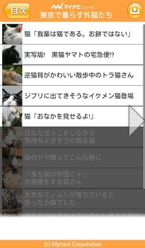 【无料版】东京でのんびり暮らす外猫たち截图