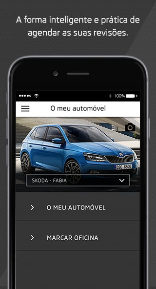 Skoda Link截图4