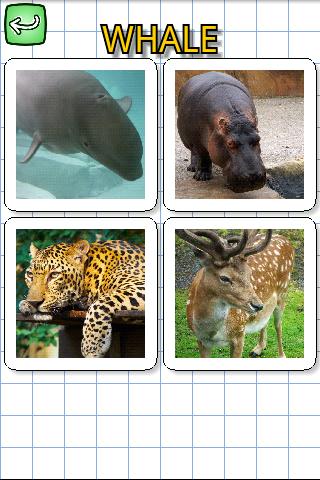 動物用英语截图4