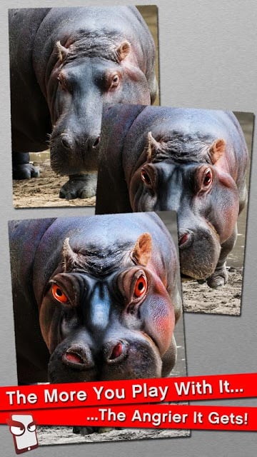 Angry Hippo Free!截图1