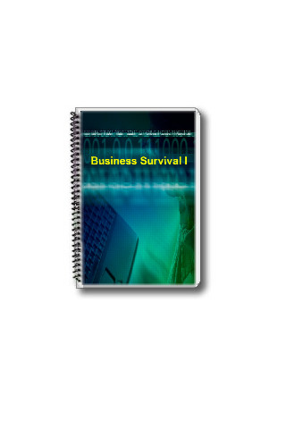 Small Business Survival截图1