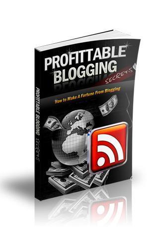 Profitable Blogging截图1