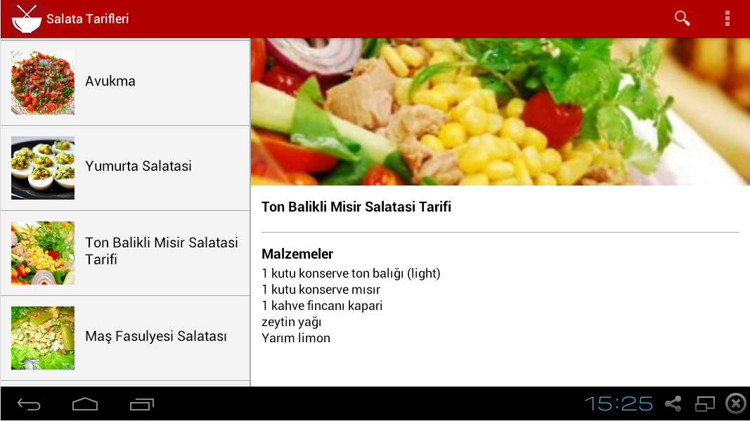 Salata Tarifleri截图5