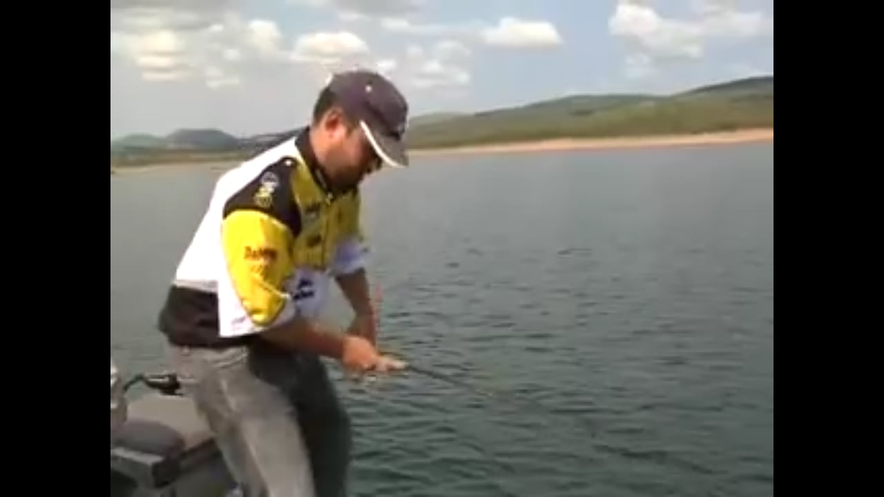 Pesca Real截图1