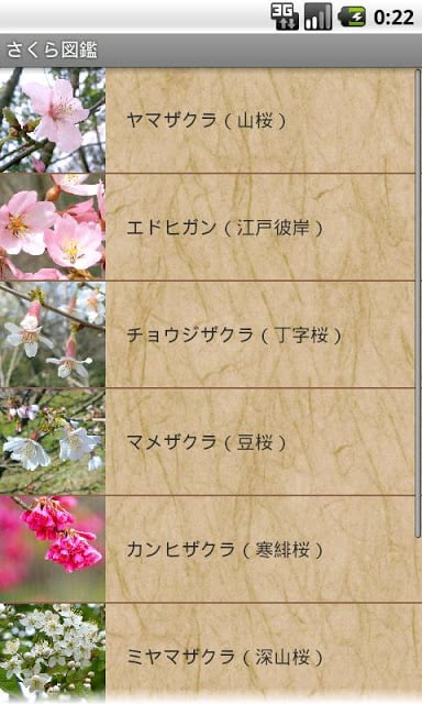 さくら図鑑 BETA截图1