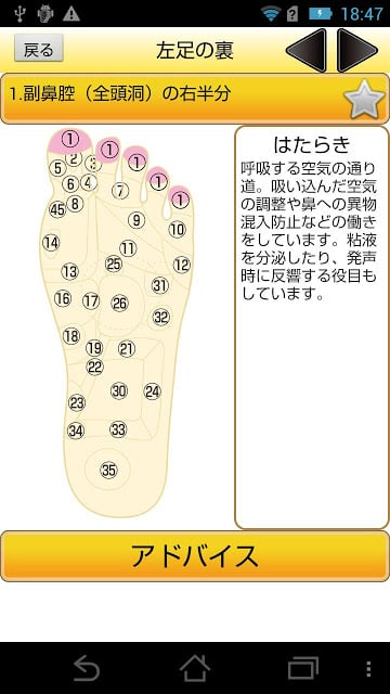 ツボタッチ～美容・健康・ダイエットに～截图2