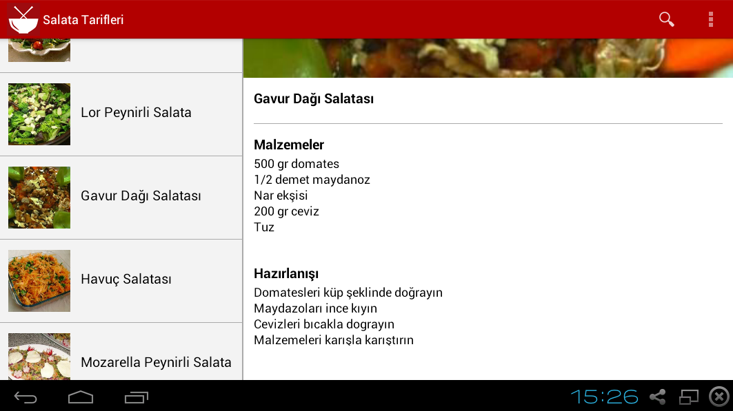 Salata Tarifleri截图3