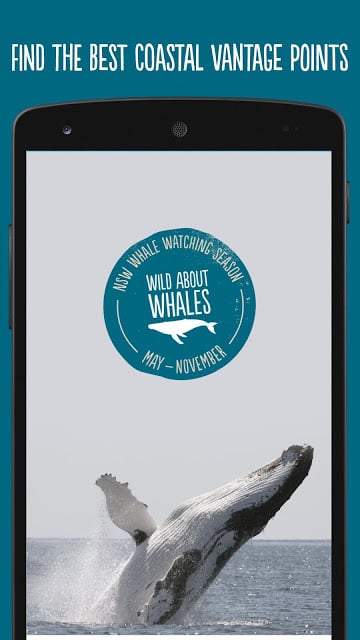 Whales NSW截图3