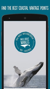 Whales NSW截图